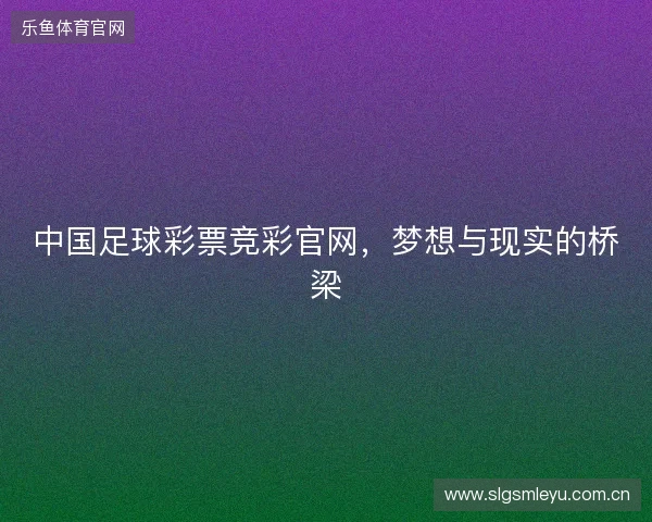中国足球彩票竞彩官网，梦想与现实的桥梁